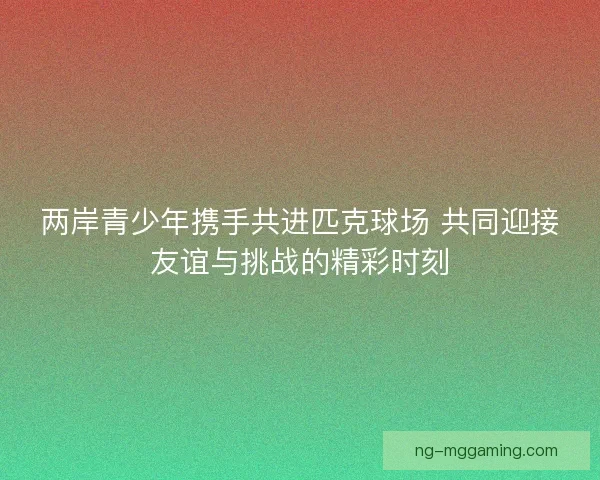 两岸青少年携手共进匹克球场 共同迎接友谊与挑战的精彩时刻